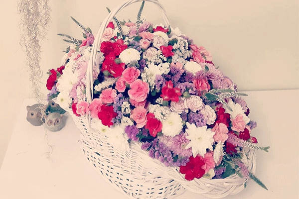 پانزی گل
