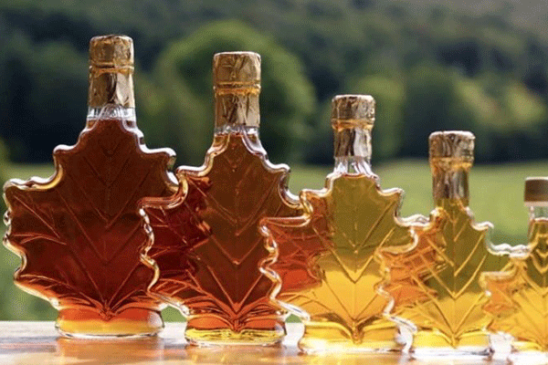 کاهش تولید شربت افرا هشداری جدی برای اقتصاد کانادا