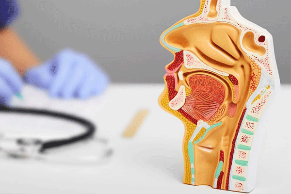 متخصص گوش حلق و بینی آقای دکتر ساسان حمزوی Dr. Sasan Hamzavi Otolaryngology