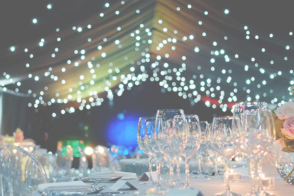 برگزارکننده مجالس ضیافت ونیزی The Venetian Banquet