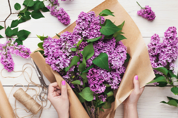 گلفروشی مامیکا Mamica Flower