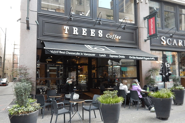 کافه تریز Trees Organic Coffee