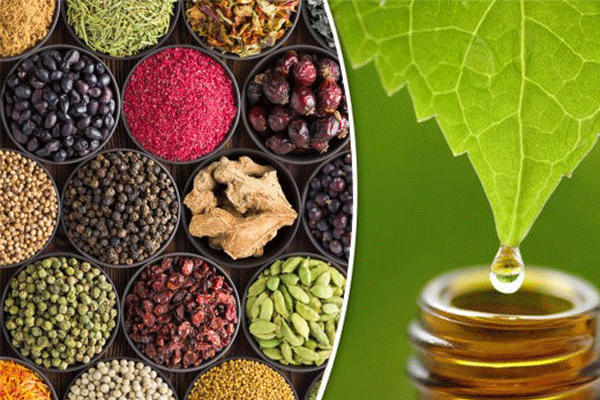 فروشگاه ایرانی البرز