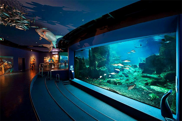 آکواریوم فلوریا استانبول Istanbul Aquarium