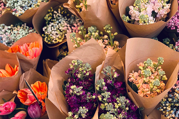 گل فروشی UR FLOWER