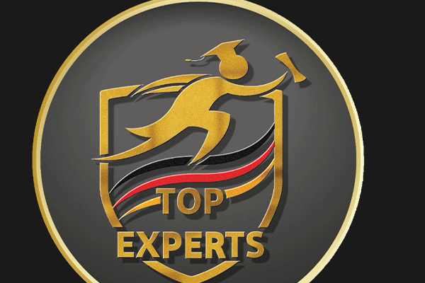 شرکت حقوقی و مهاجرتی Tex Top Experts GmbH