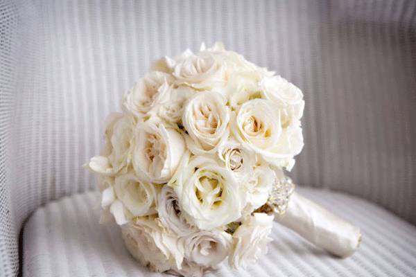 گلفروشی Dream Rose