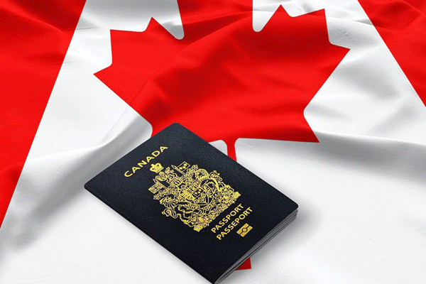 گروه مهاجرتی الکس ویزا ALEX VISA IMMIGRATION GROUP