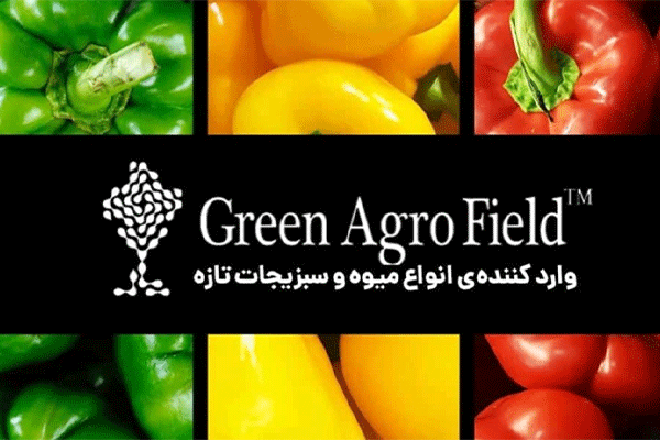 شرکت گرین آگروفیلد مستقر