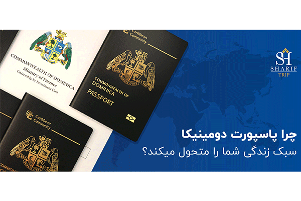 شریف تریپ