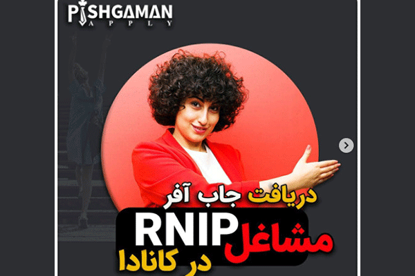 هلدینگ مهاجرتی پیشگامان