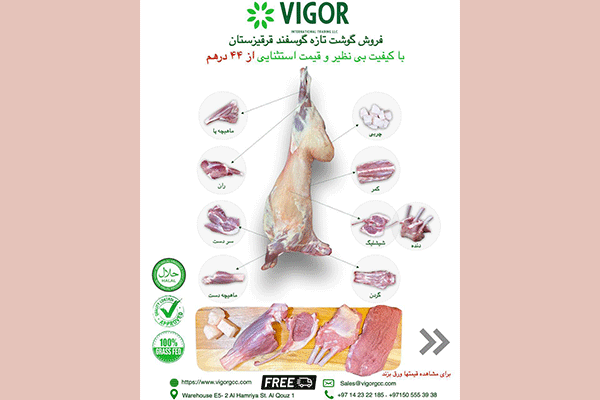 شركت ويگور