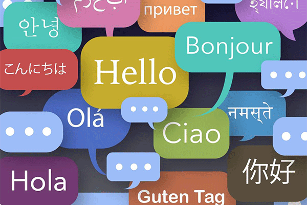مترجم زبان برتر Top Taal Translate
