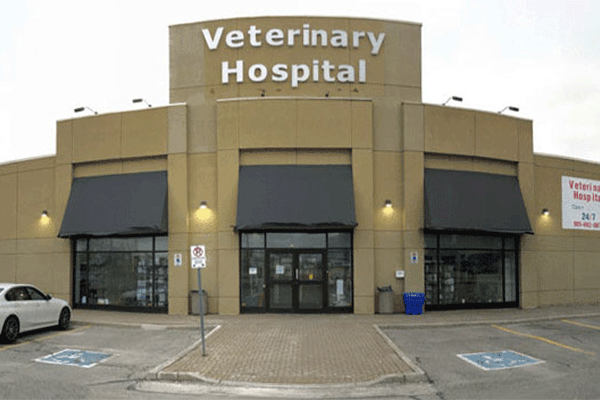 بیمارستان دامپزشکی دکتر کفایی Dr. Kafai Veterinary Hospital