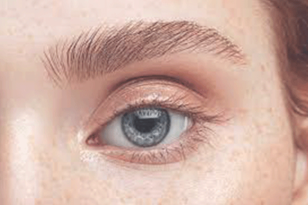 سالن تتوی ابروی کتی