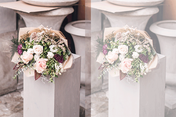 گل فروشی آفتابگردان Sunflower Florist