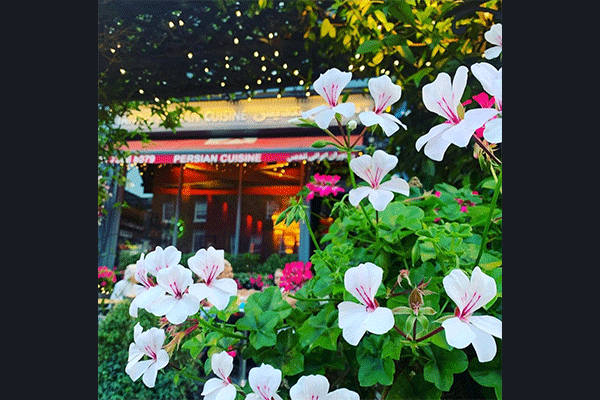 رستوران تندیس Tandis Restaurant