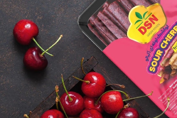 فروشگاه صنایع غذایی DSN