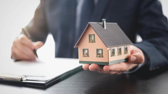 مشاور املاک پاریس شیرازی  Real Estate Paris shirazi