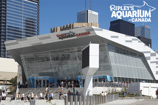 آکواریوم ریپلی کانادا Ripley's aquarium of Canada