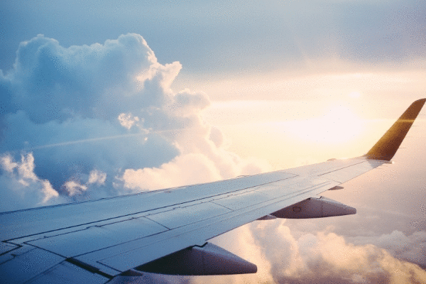 آژانس مسافرتی ایرانی آریانا تراول Ariana Travel Agency