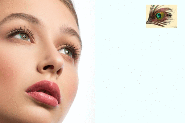 سالن زیبایی پر Feather Beauty Salon