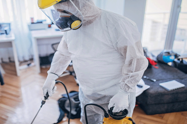 شرکت کنترل و دفع آفات صبا Saba Pest Control