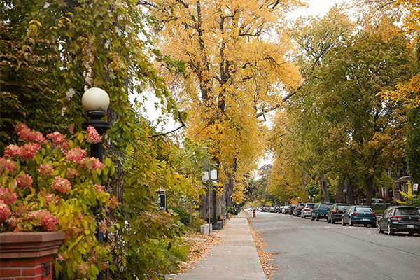 خیابان های معروف تورنتو