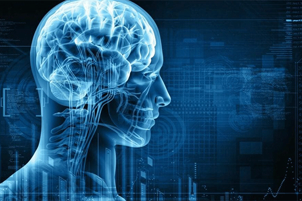 متخصص مغز و اعصاب دکتر نوشین رضایی