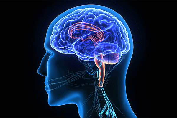 متخصص مغز و اعصاب دکتر آنوشا رحیمی