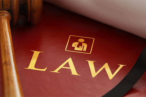 وکیل خدمات حقوقی خانم دیانوش نظری
