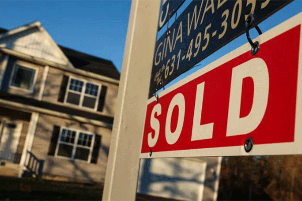 مشاور املاک گلی مستقیم  Goli Mostaghim Real Estate Agent
