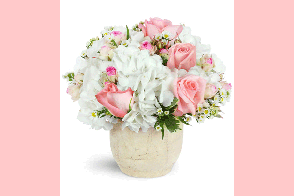 گلفروشى بانا BANA Florist