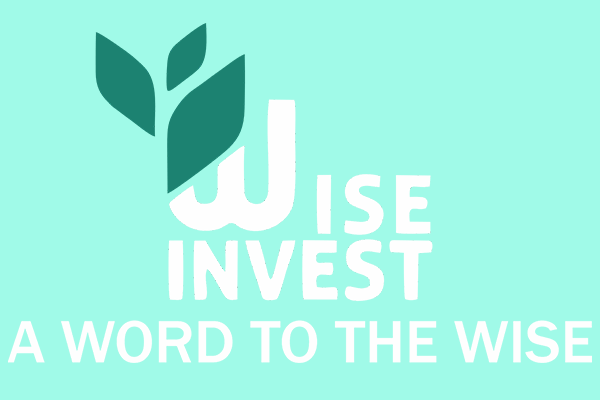 شرکت مالیاتی وایز اینوست Wise Invest