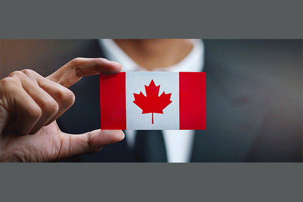 موسسه مهاجرتی Hadson Immigration Co
