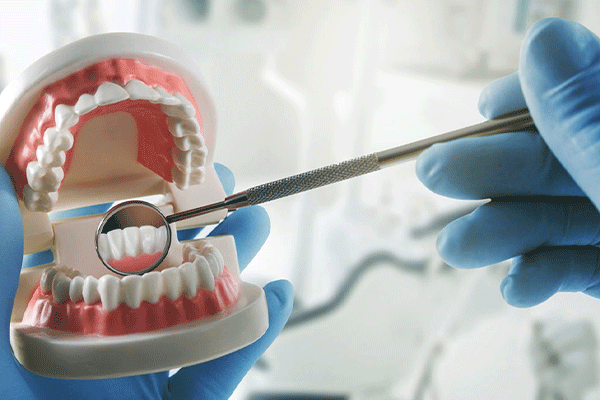 دندانپزشک دکتر سیما شالچی Dr. Seama Shalchi Dentist