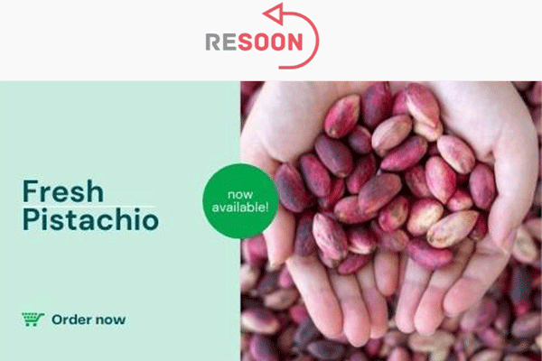فروشگاه ریسون Resoon