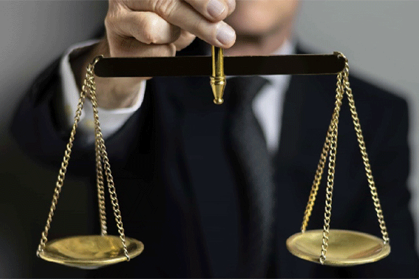 وکیل ایرانی آقای فرشید فدوی